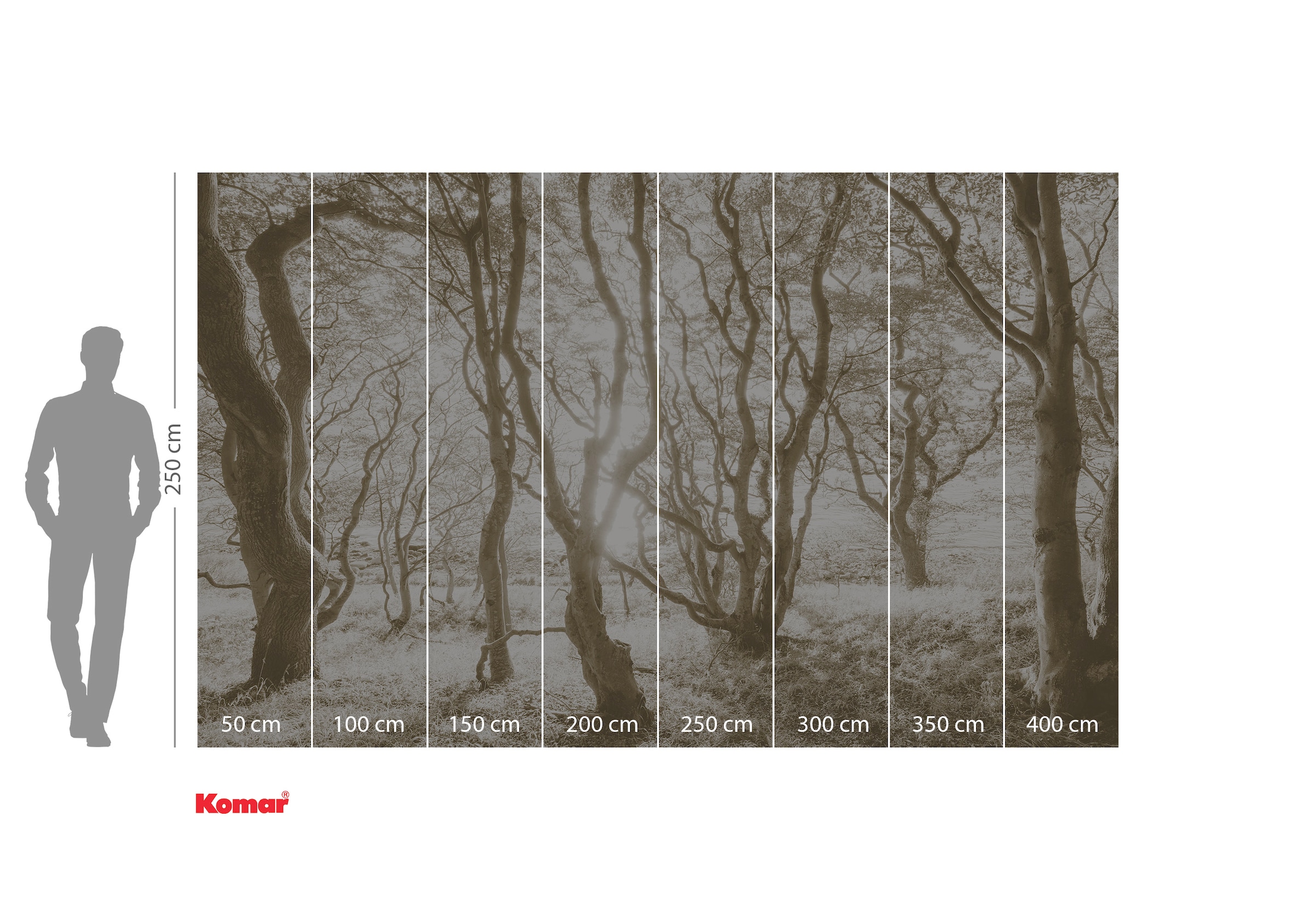 Komar Fototapete »Vlies Fototapete - Bleached Birch - Größe 400 x 250 cm«, botanisch-floral-geblümt-gemustert-tropisch, Vom Design bis zum Druck Made in Germany