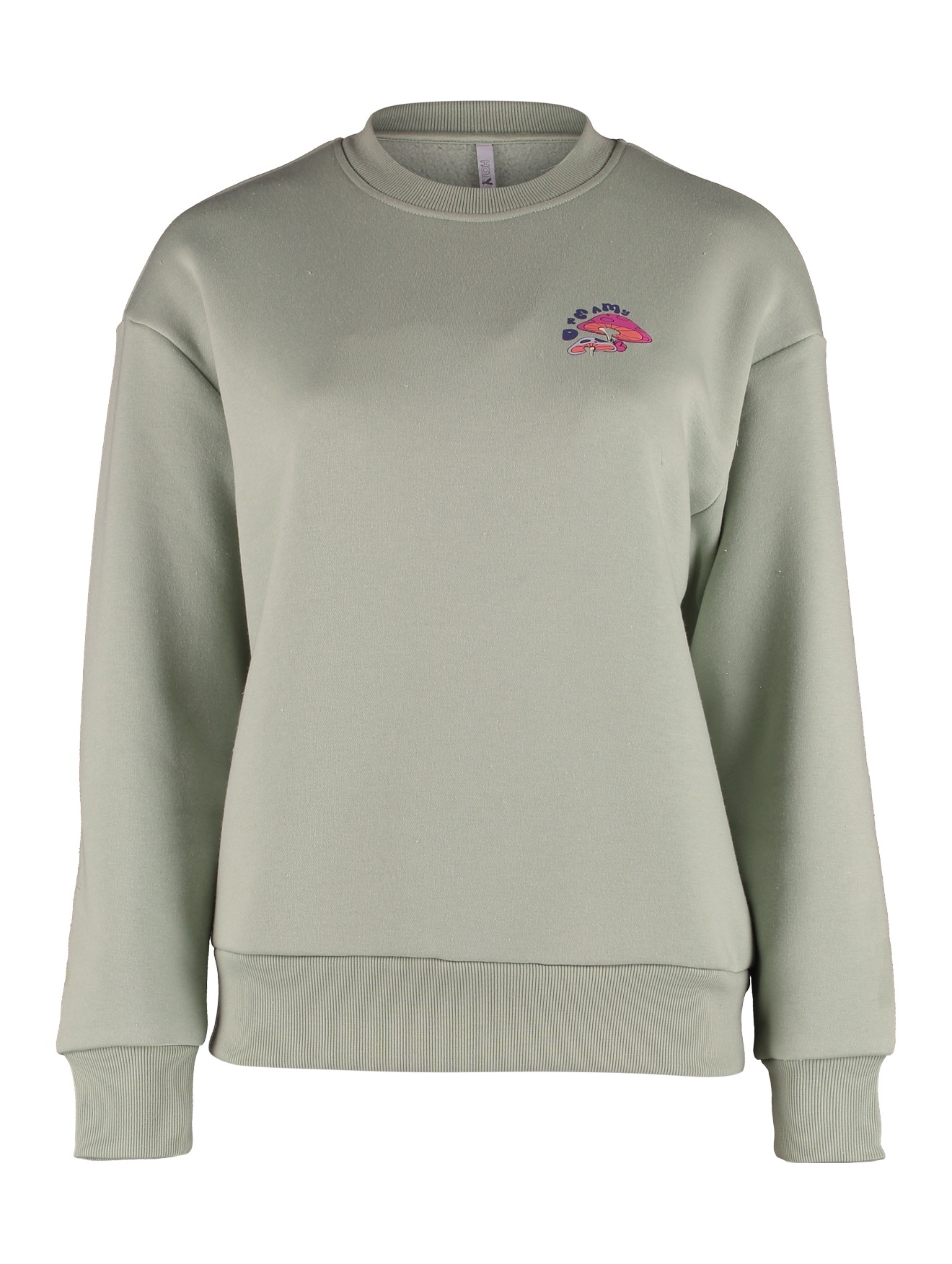HaILY’S Sweatshirt »LS C SW Mi44lou«