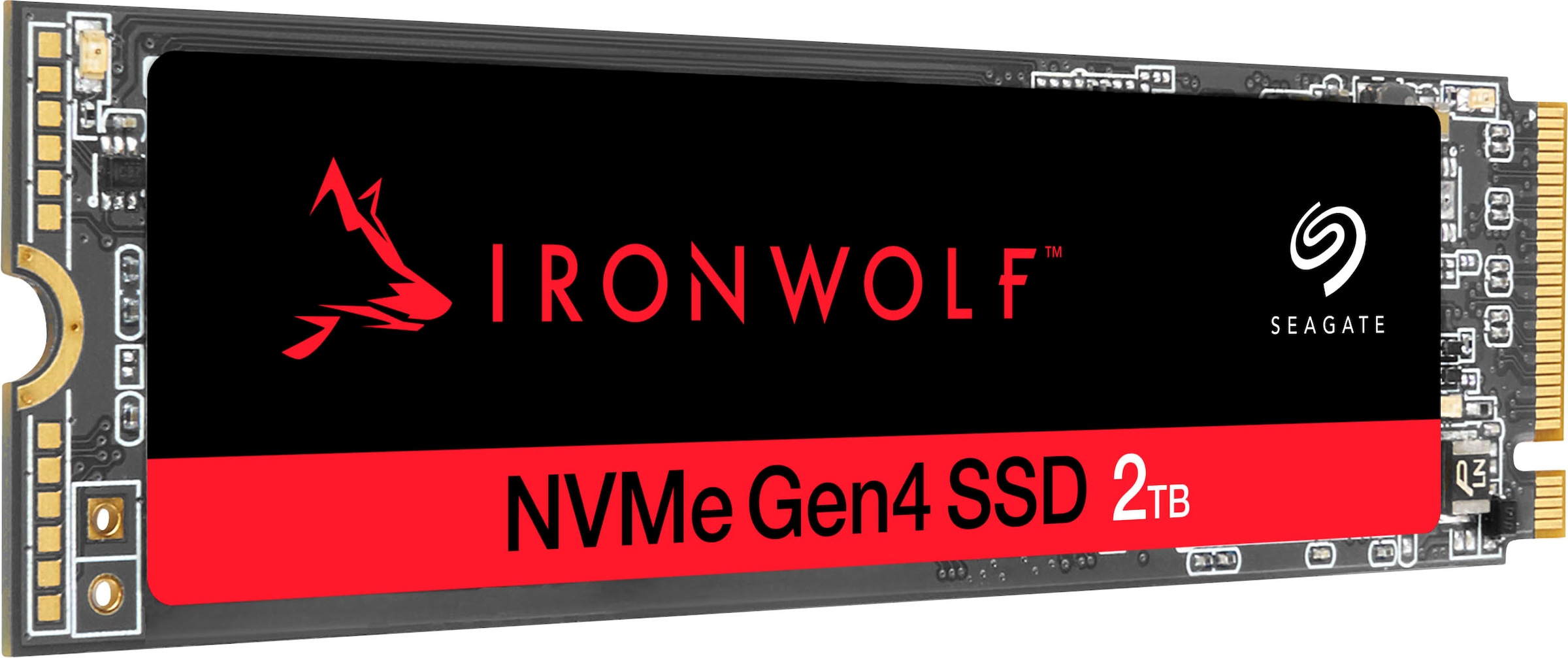 Seagate interne SSD »IronWolf®525«