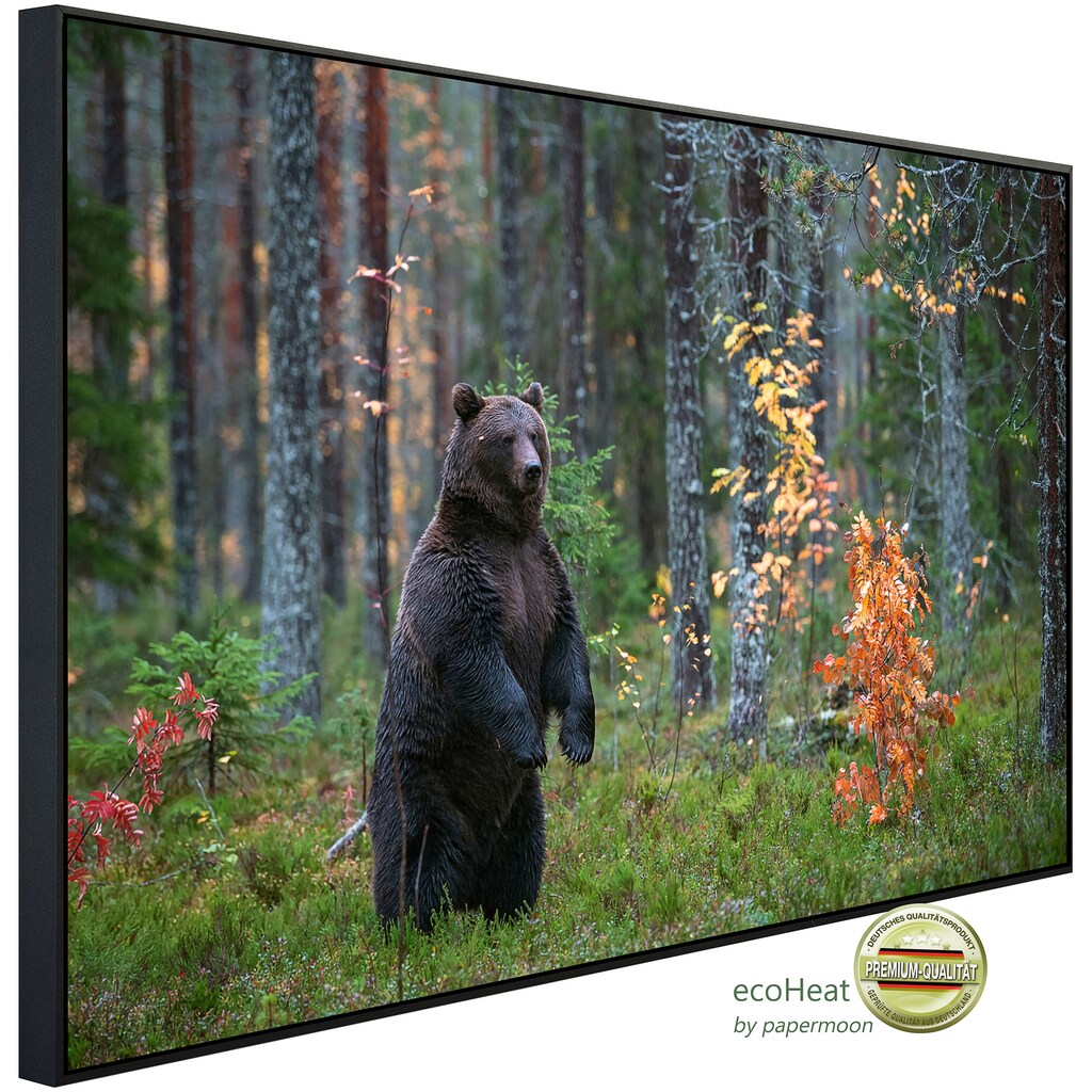Papermoon Infrarotheizung »Braunbär im Herbstwald«