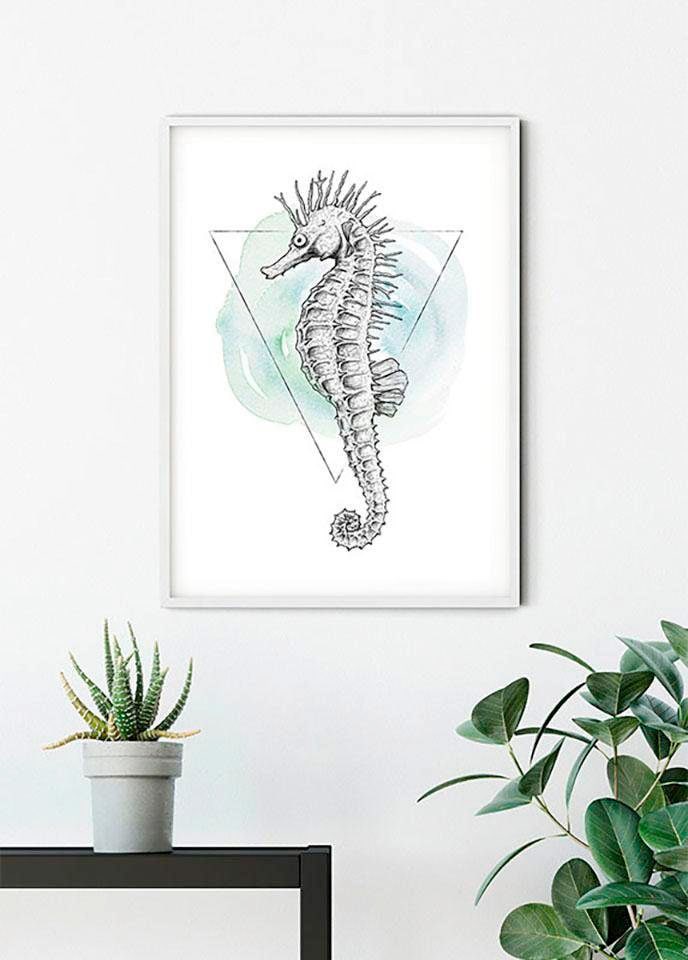 Komar Bild »Sea Horse Watercolor« Tiere 1 Stk. tlg. Wandbild zur Dekoration - ohne Rahmen