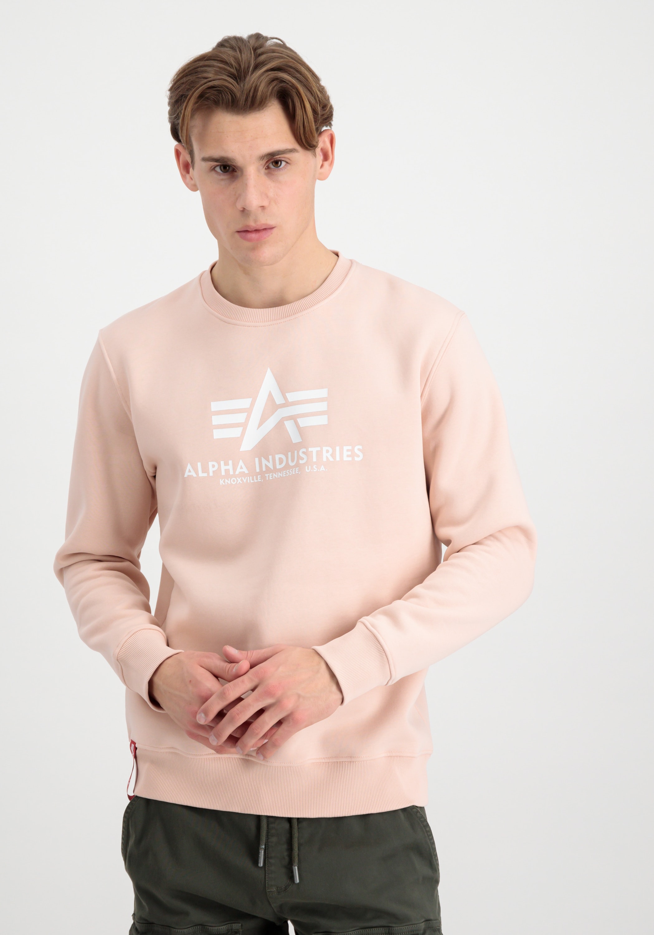 Alpha Industries Sweater »Alpha Industries Men - Sweatshirts Basic Sweater«