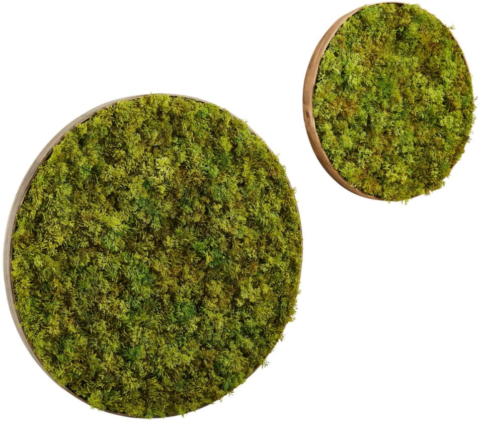 Schneider Wanddekoobjekt, (Set, 2 St.), rund, Moos-Optik kaufen