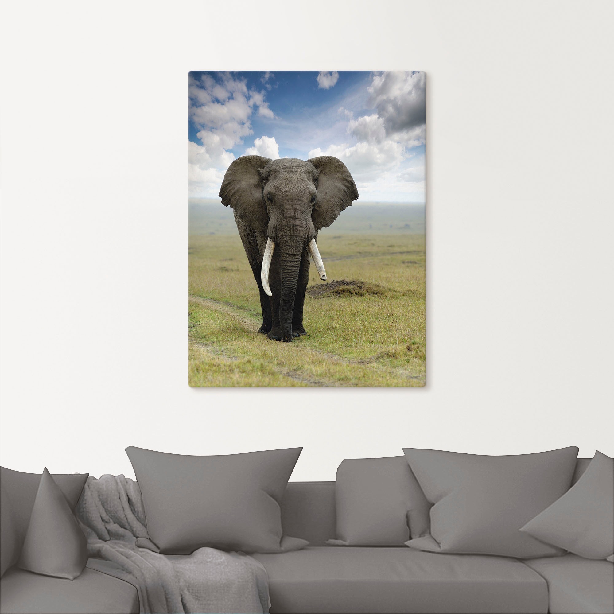 Artland Wandbild »Elefant«, Wildtiere, (1 St.), als Alubild, Outdoorbild, Leinwandbild, Poster in verschied. Größen