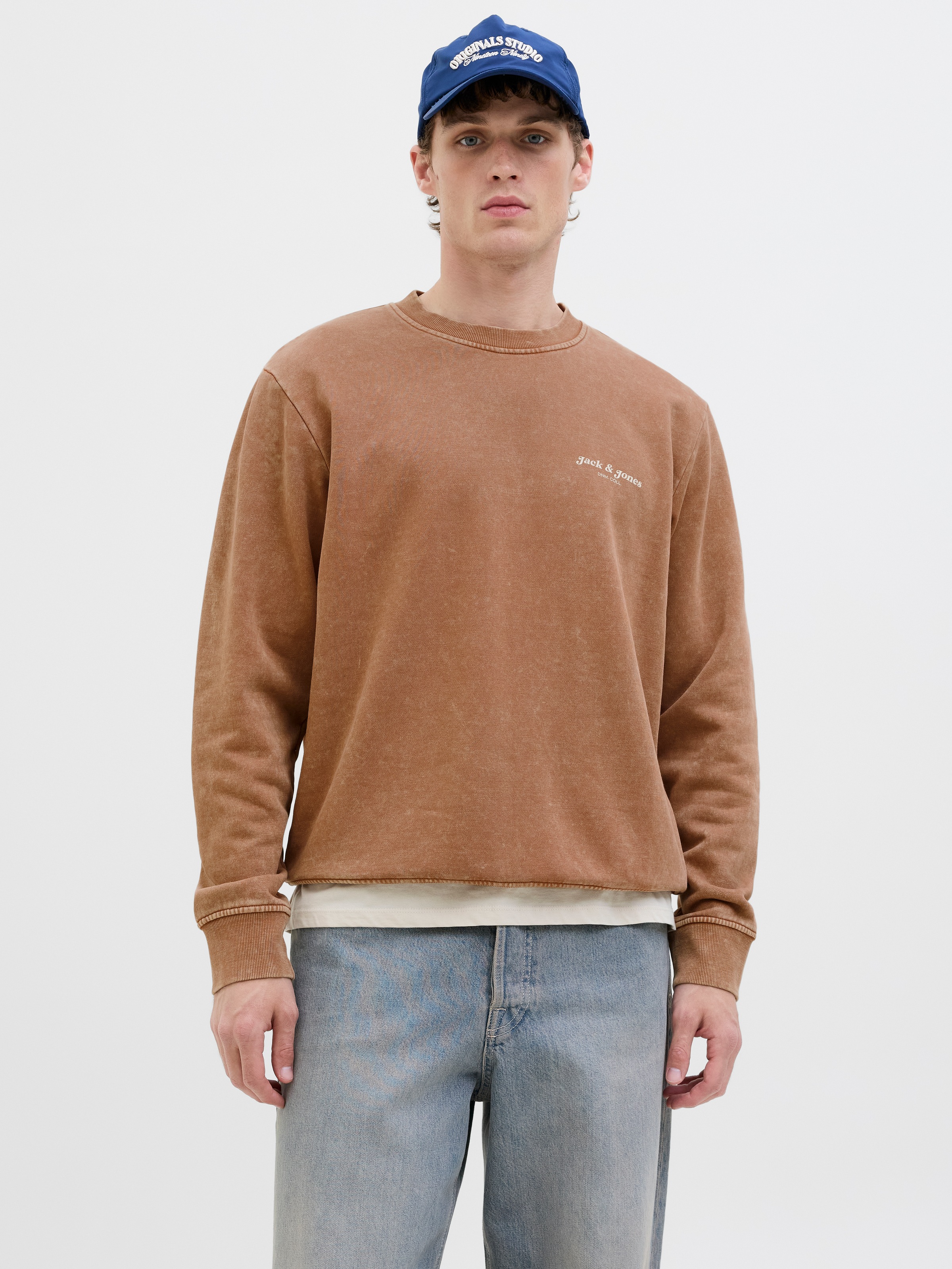 Jack & Jones Sweatshirt "JJEDOVER PRINT SWEAT CREW NECK" günstig online kaufen