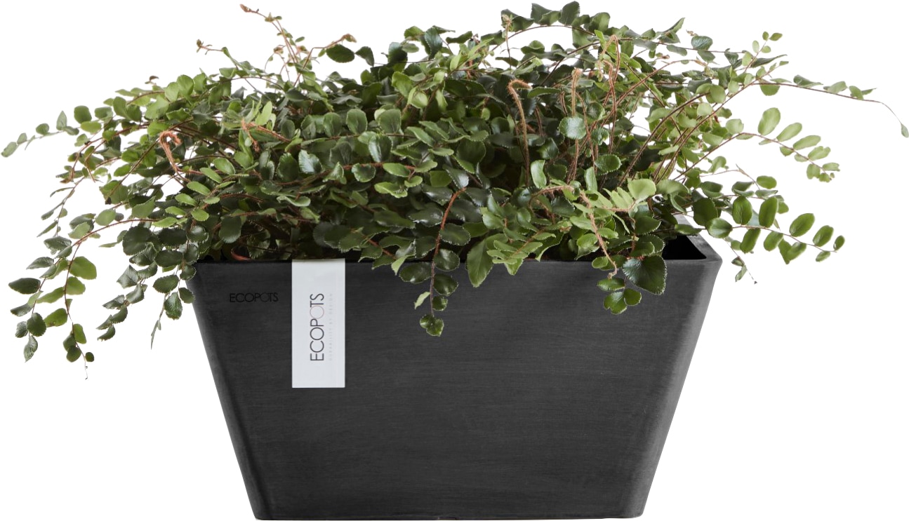 ECOPOTS Blumentopf »BERLIN Dark grey«, BxTxH: 25x25x12,8 cm