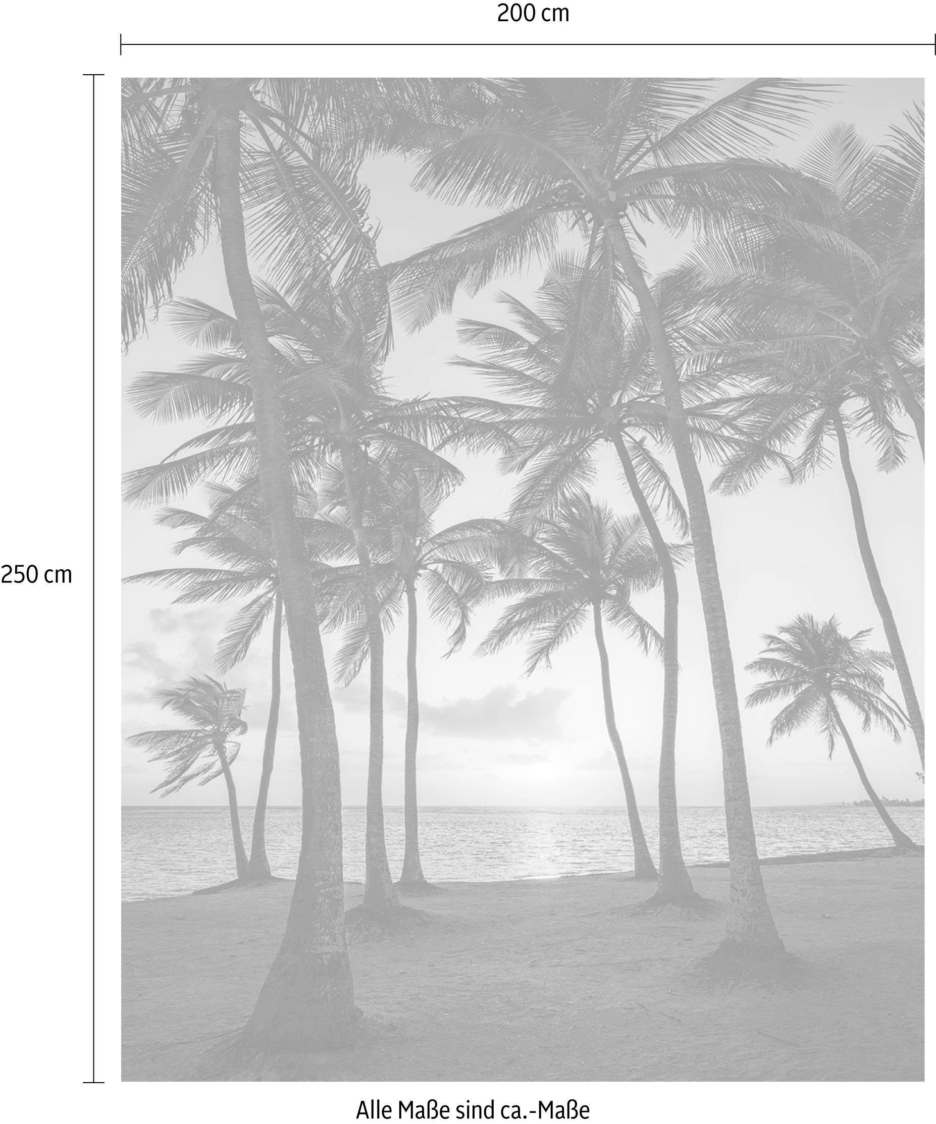 Komar Vliestapete »Digitaldruck Vlies - Palmtrees on Beach - Größe 200 x 250 cm«, bedruckt, Wohnzimmer, Schlafzimmer