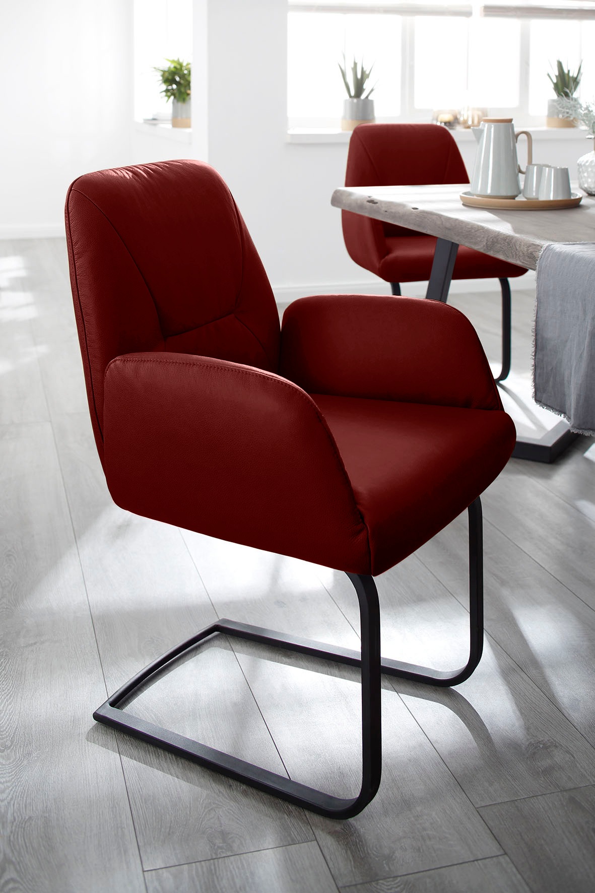 Thumbnail - W.SCHILLIG Freischwinger "ole" (Set) 2 Stk.2er- oder 4er-Set, Gestell in Schwarz pulverbeschichtet