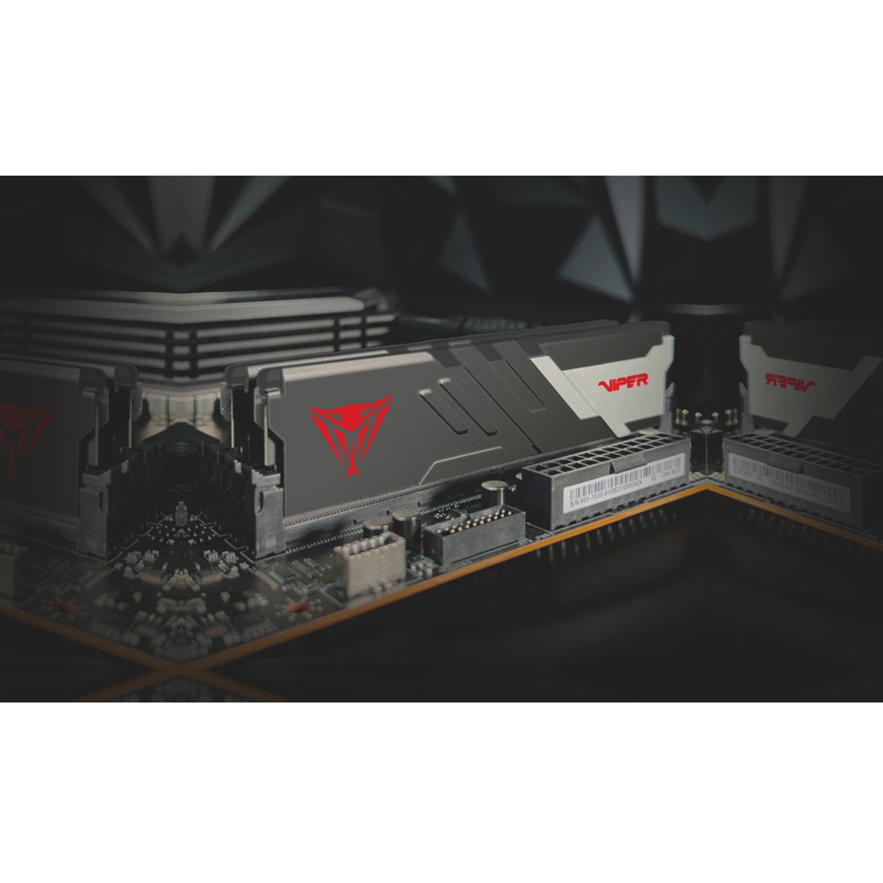 Patriot Arbeitsspeicher »Viper Venom«