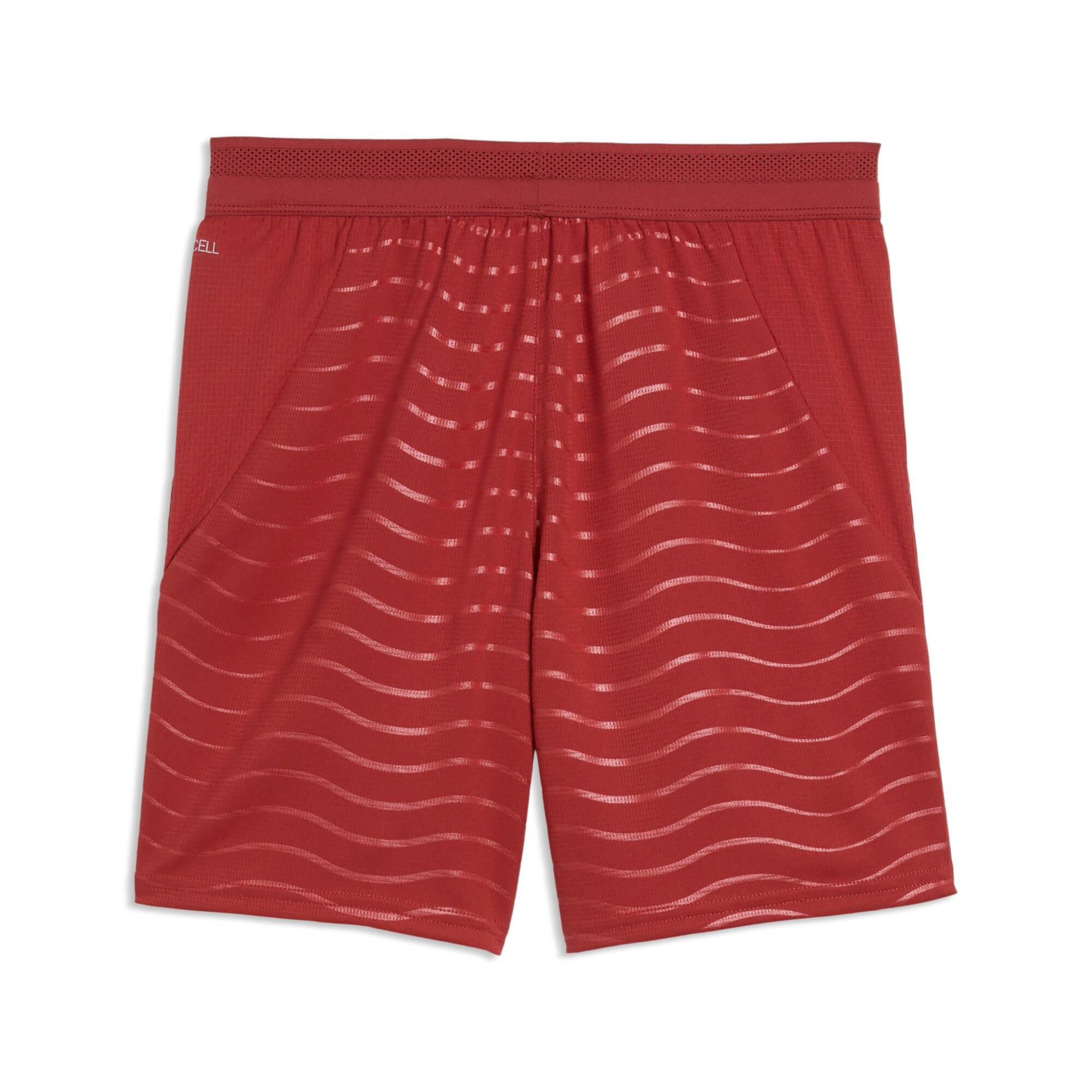 PUMA Trainingsshorts »FPF SHORTS REPLICA JR«  sportlicher Stil, für Jugendliche, atmungsaktives Material