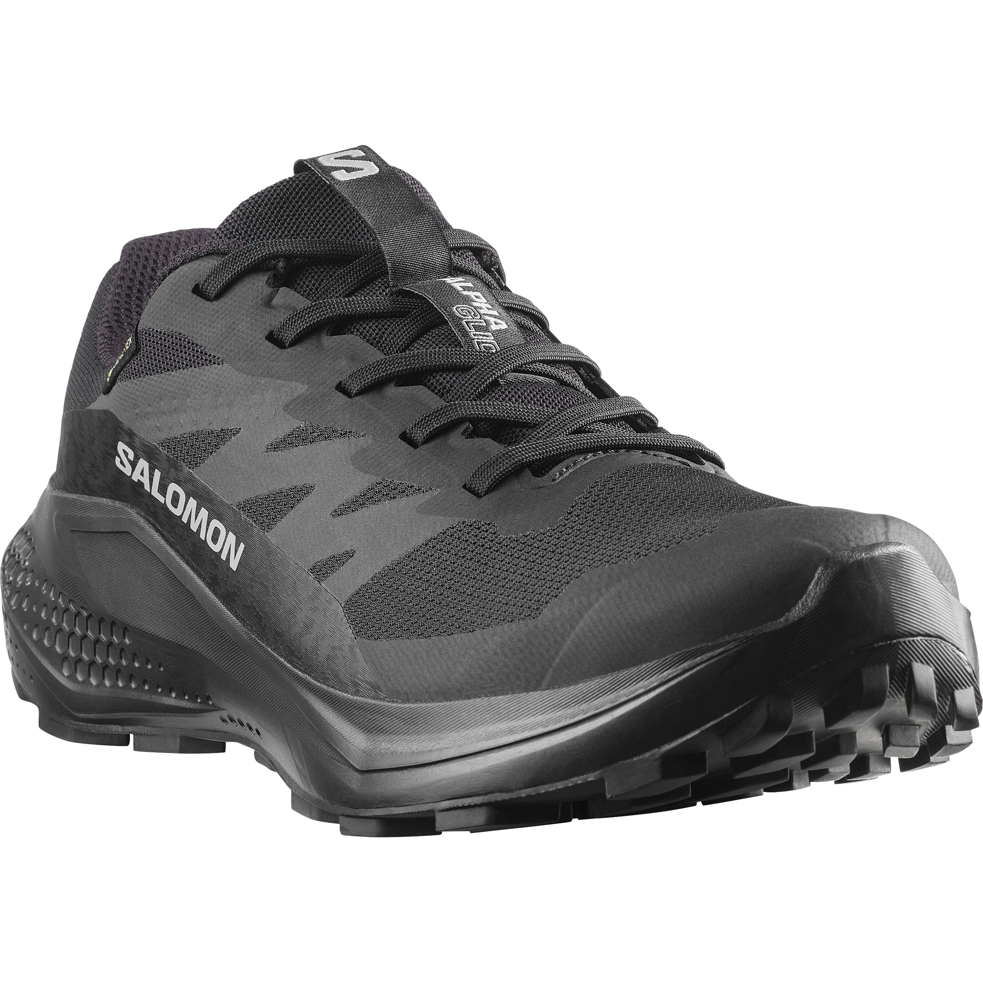 Salomon Trailrunningschuh »ALPHAGLIDE GTX W«  wasserdicht
