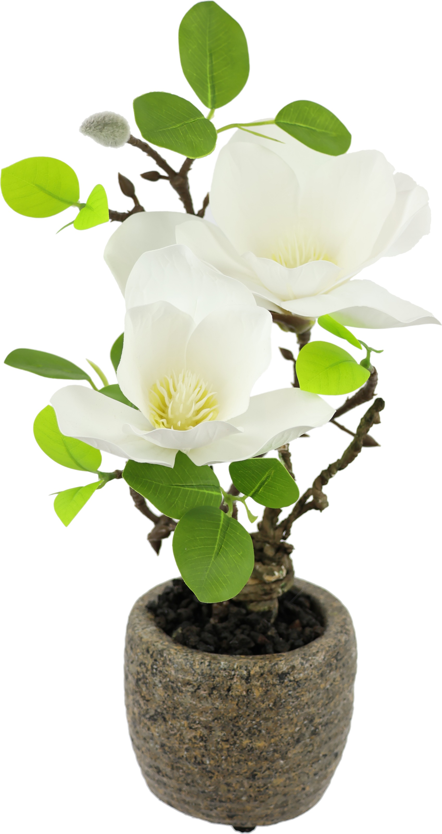 I.GE.A. Kunstblume "Magnolie im Topf", Künstlich wie echt Deko Blume Zimmer günstig online kaufen