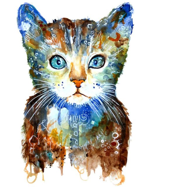 Wall-Art Wandtattoo »Lebensfreude - Kleine Katze«, (1 St.) bestellen | BAUR