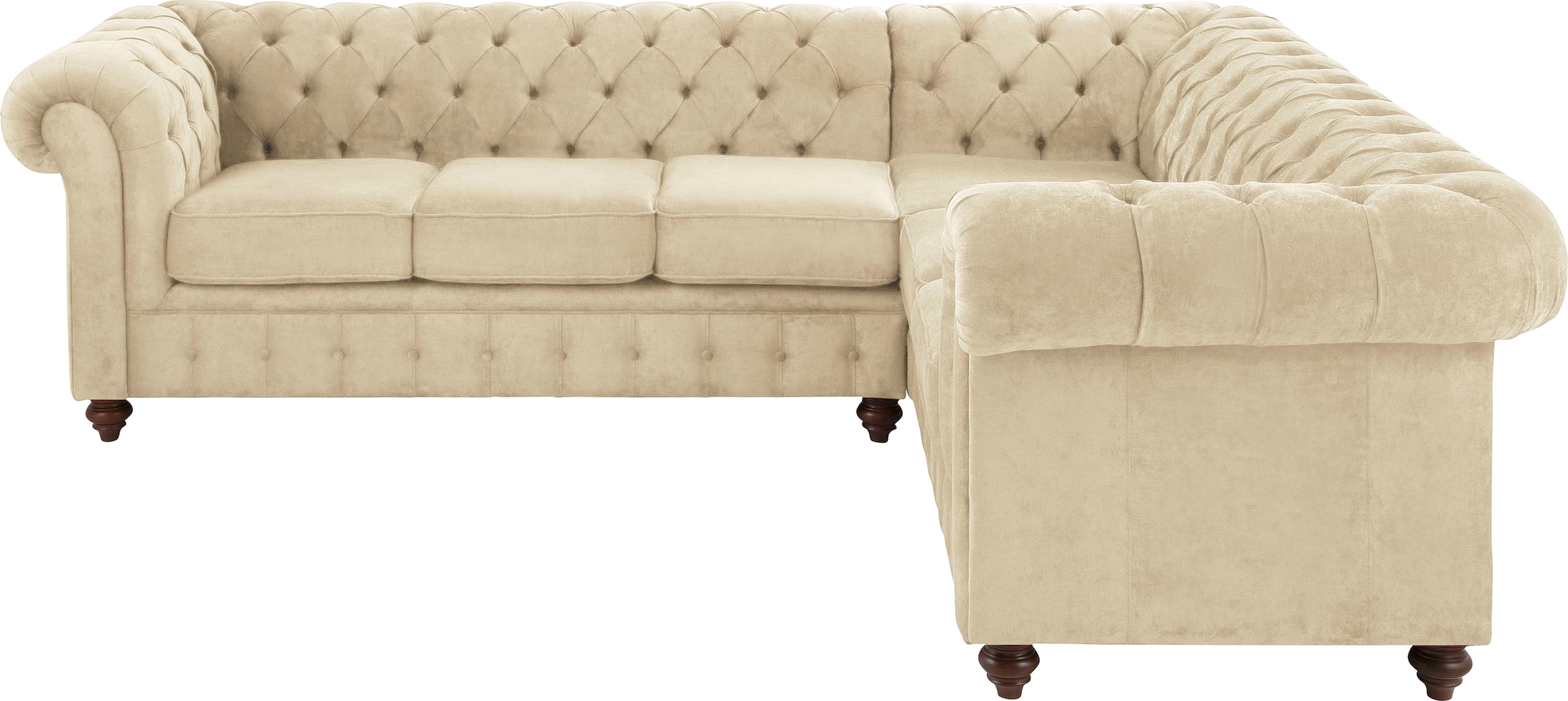 Home affaire Chesterfield-Sofa "Duc Ecksofa L-Form", hochwertige Knopfheftung im Rücken, Samtoptik mit changierender Opt