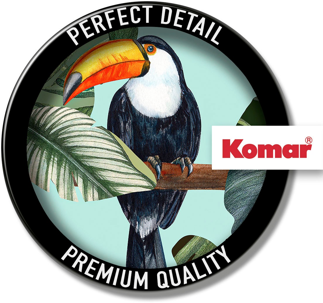 Thumbnail - Komar Bild "Toco Toucan" Natur 1 Stk. tlg. Wandbild zur Dekoration - ohne Rahmen