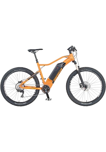 Prophete E-Bike »Graveler 22.ETM.30« 10 Gang Sh...