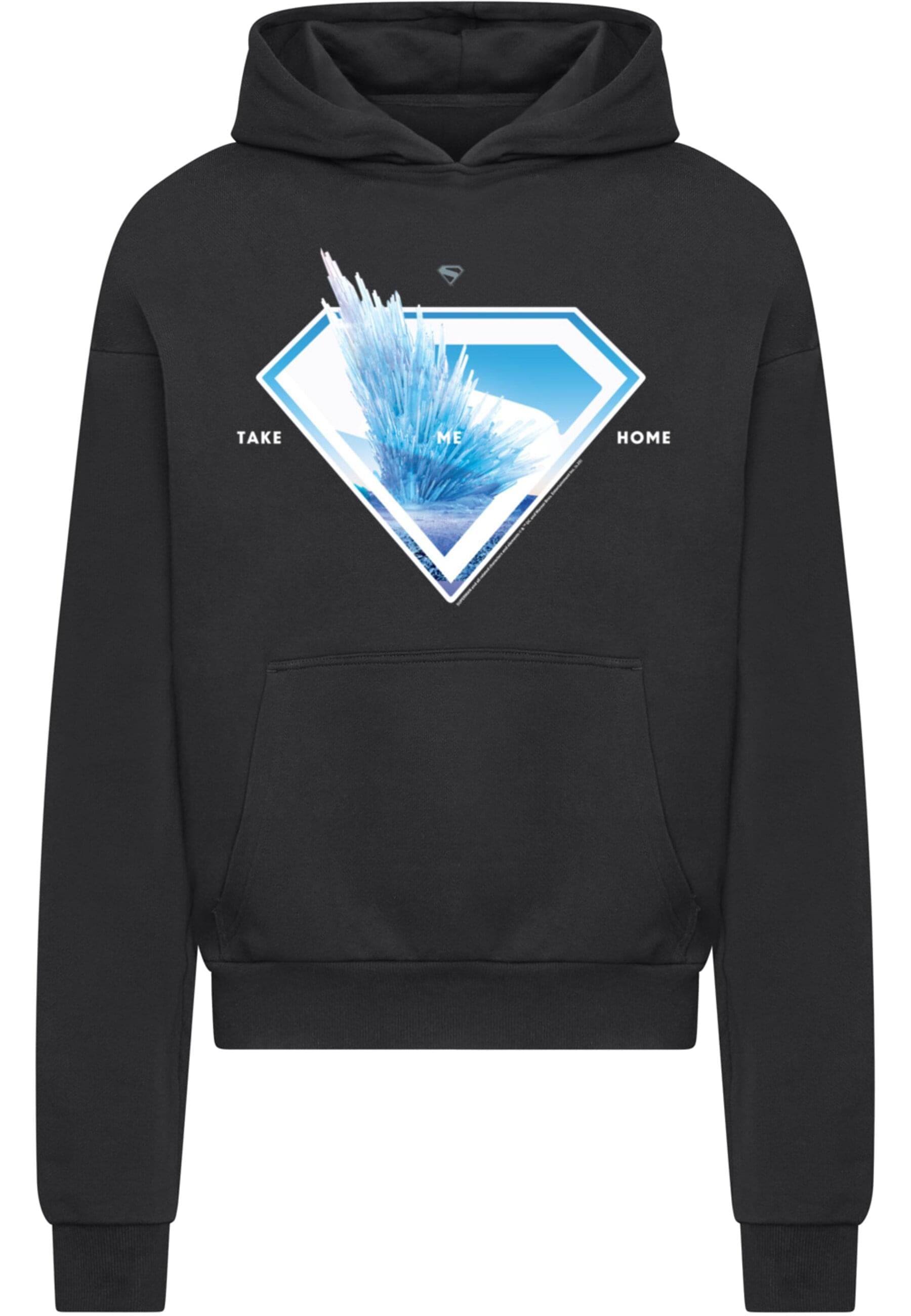 ABSOLUTE CULT Kapuzensweatshirt "ABSOLUTE CULT", (1 tlg.) günstig online kaufen