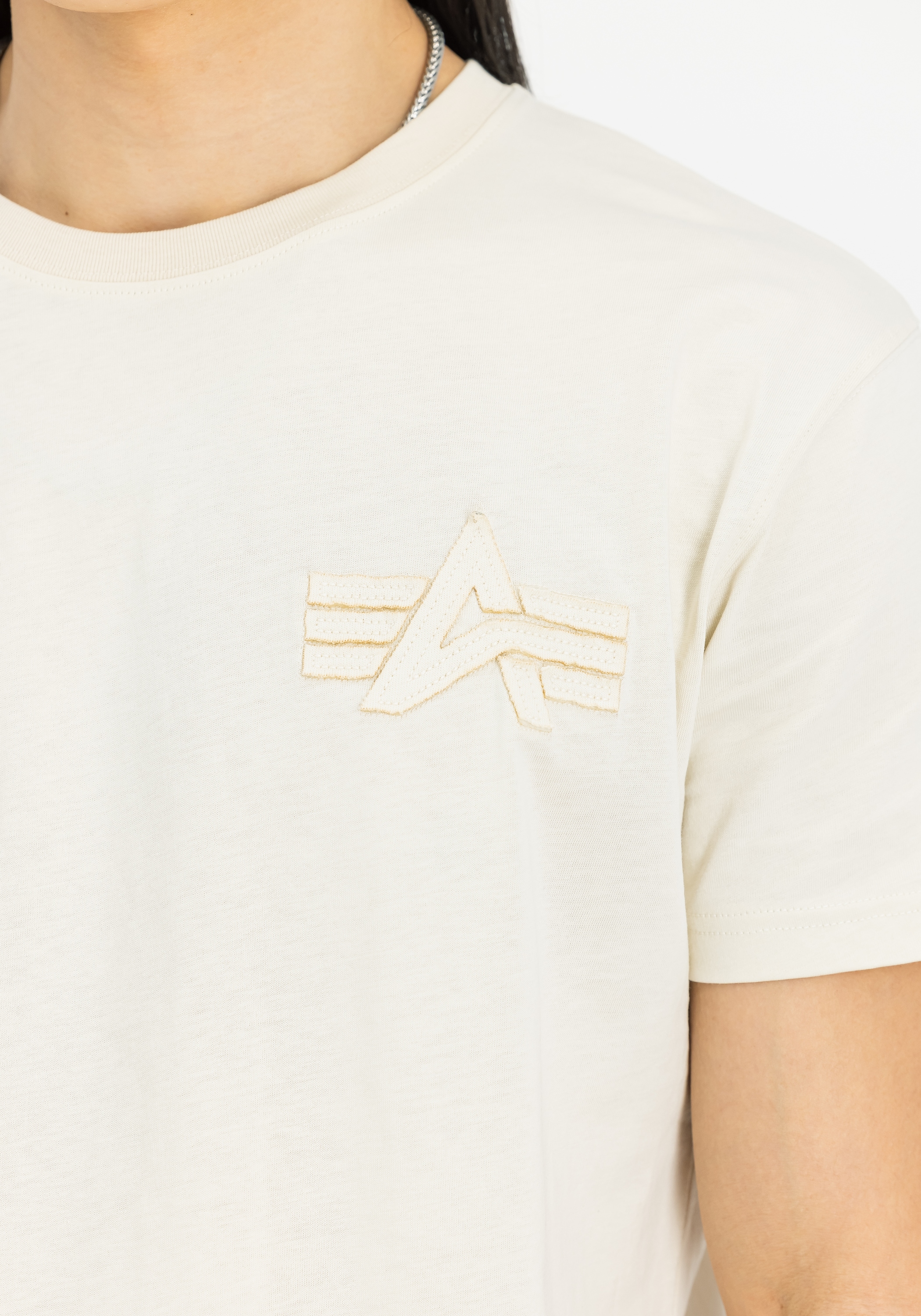 Alpha Industries T-Shirt »Coach T-Shirt Back Embroidery T-Shirt«