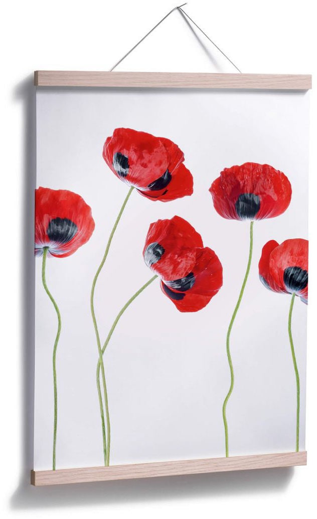 Wall-Art Poster »Mohnblumen«, Blumen, (1 St.), Poster ohne Bilderrahmen