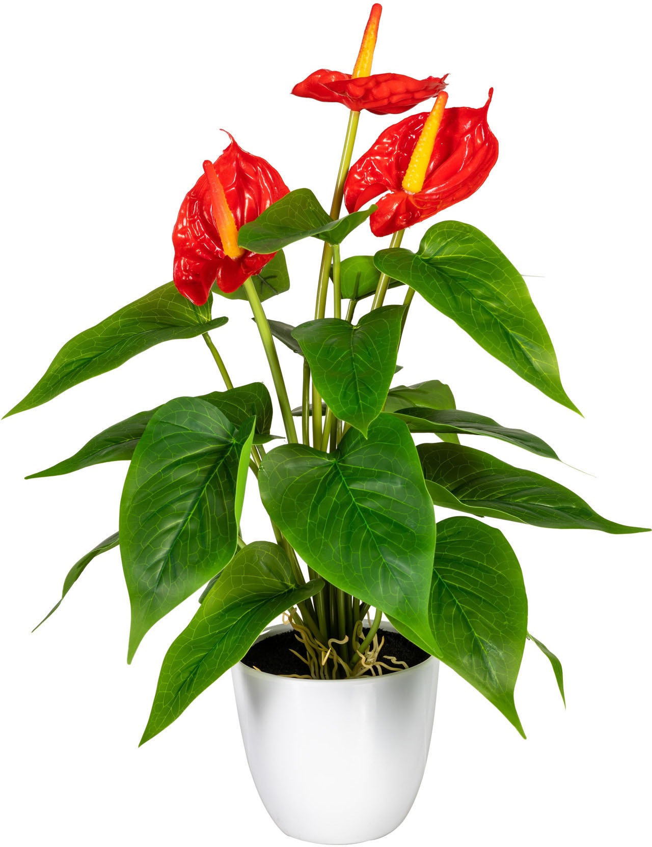 OTTO home Kunstpflanze "Haune" im Topf günstig online kaufen