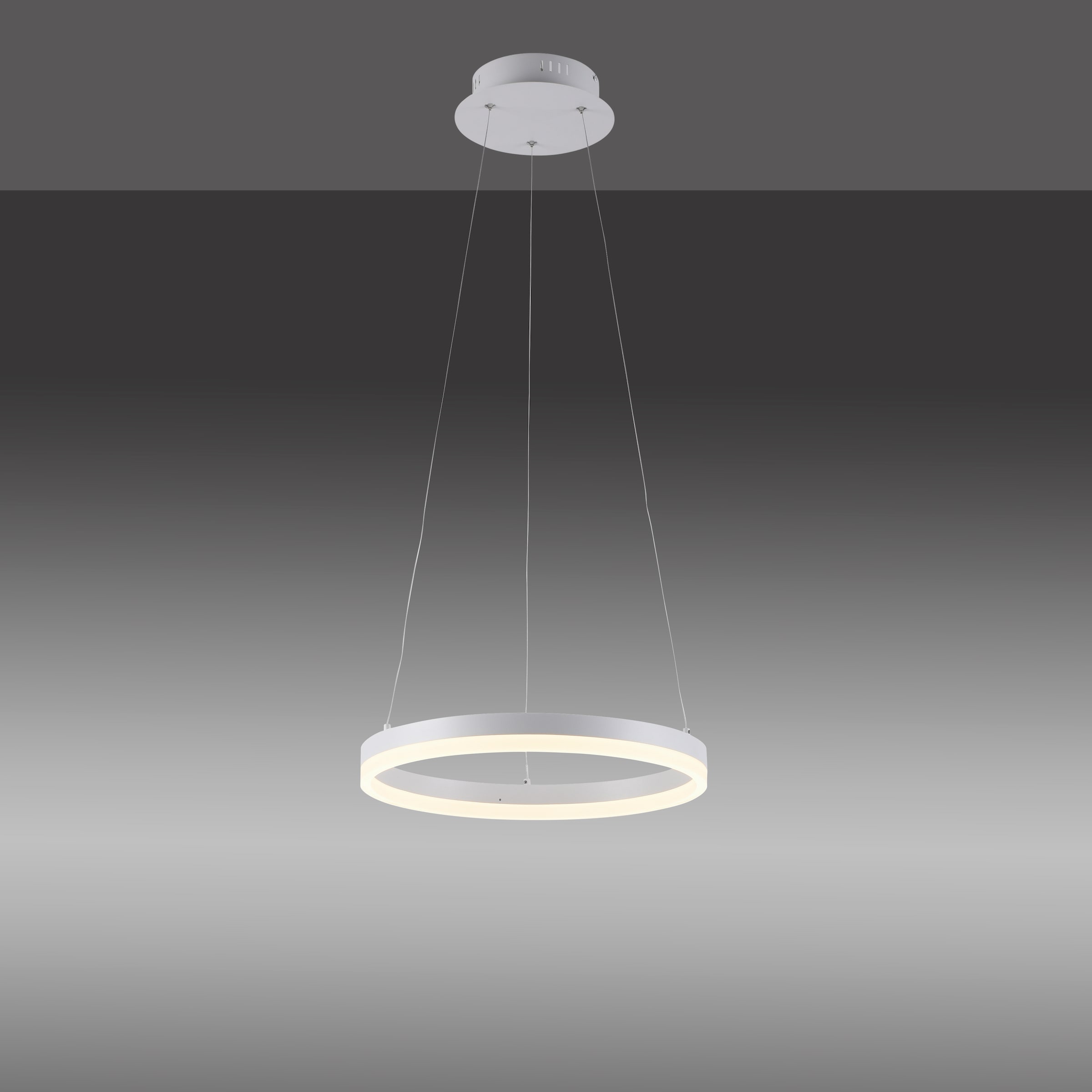 Paul Neuhaus Pendelleuchte »TITUS«, 1 flammig, Leuchtmittel LED-Board | LED fest integriert, LED, dimmbar, Simply Dim, Memory, nach Trennung vom Netz
