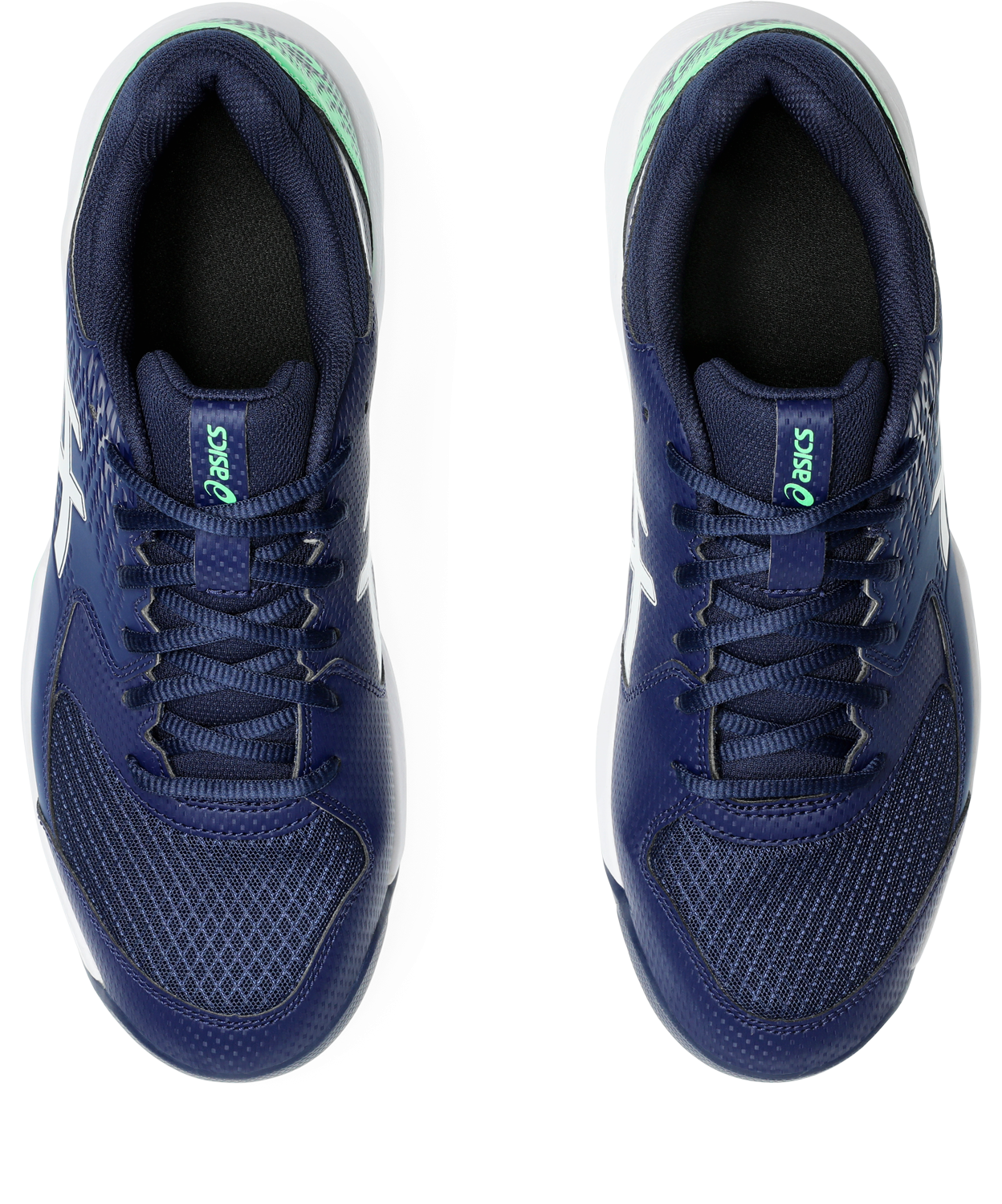 Asics Tennisschuh »GEL-DEDICATE 8«