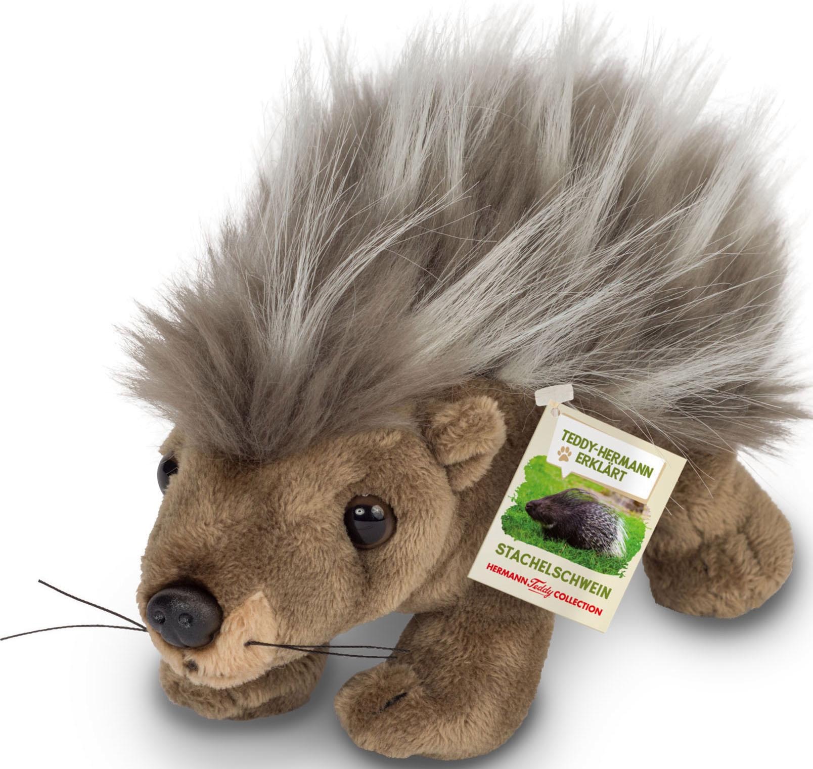 Kuscheltier Teddy-Hermann erklärt…, Stachelschwein, 20 cm