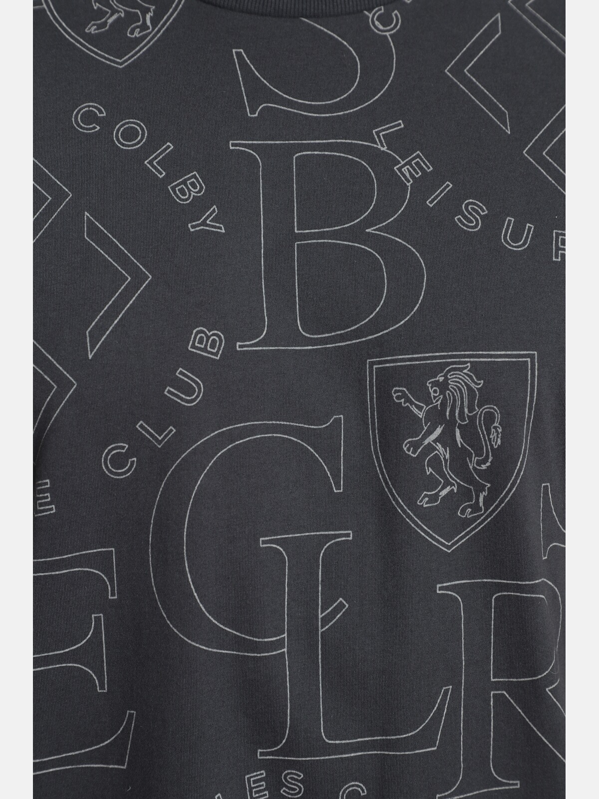 Charles Colby Rundhalsshirt »T-Shirt EARL HEBBS«