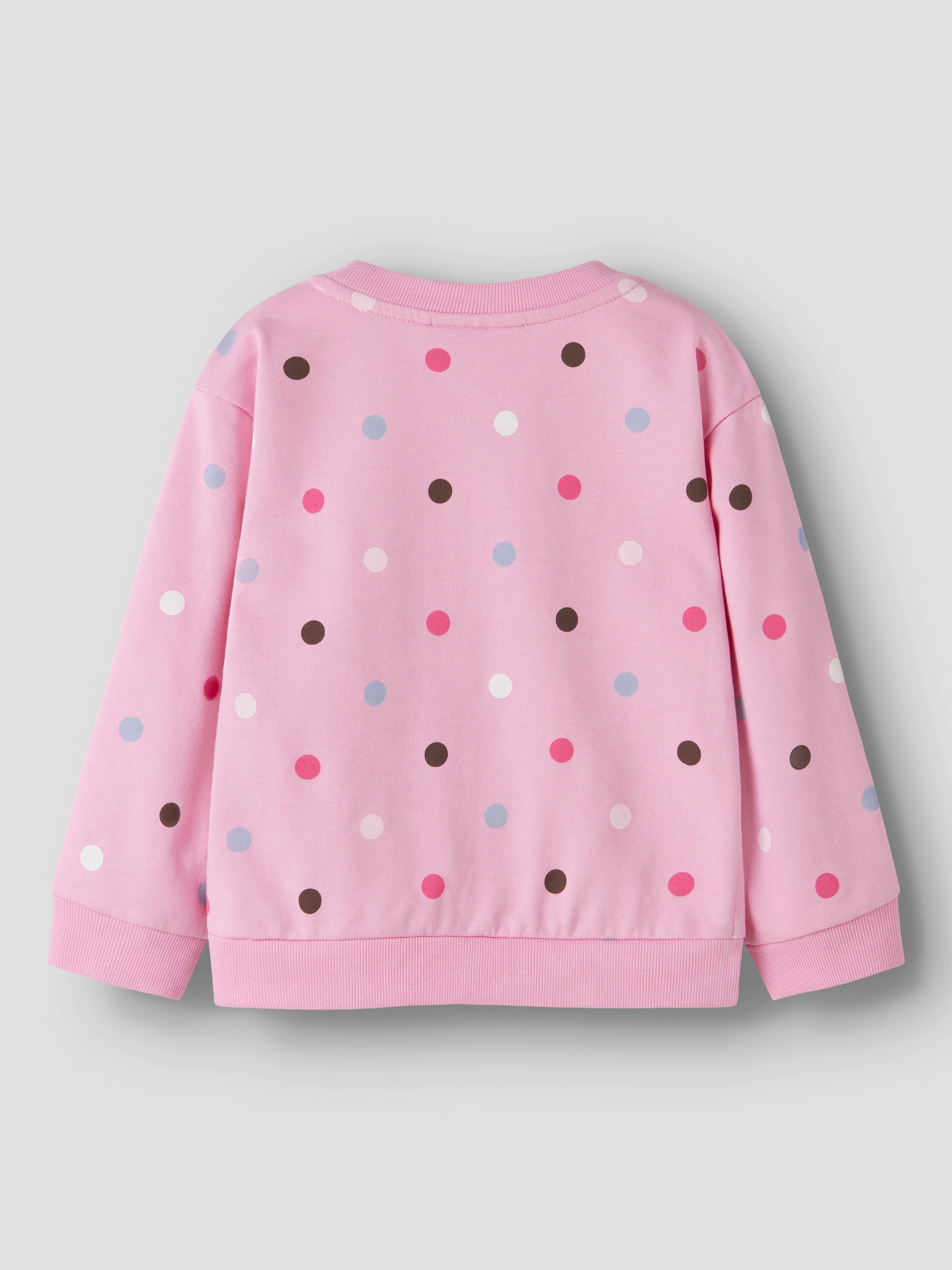 Name It Sweatshirt »NMFNISALA LS NREG SWEAT BRU PB«, Baumwolle
