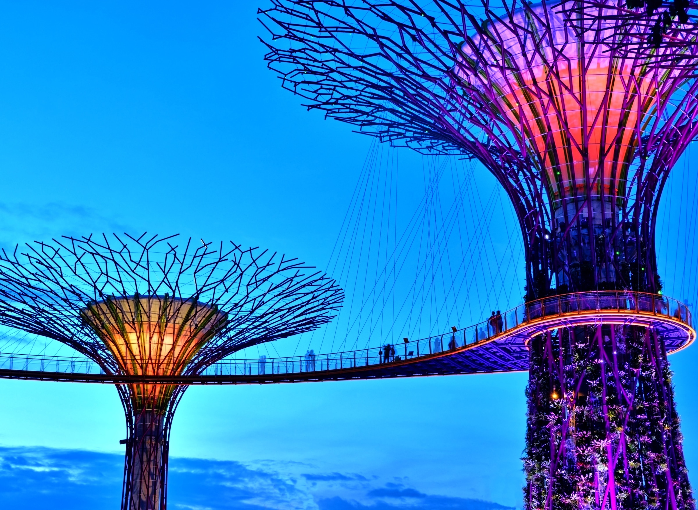 Papermoon Fototapete "Singapore Bay Supertrees" glatt