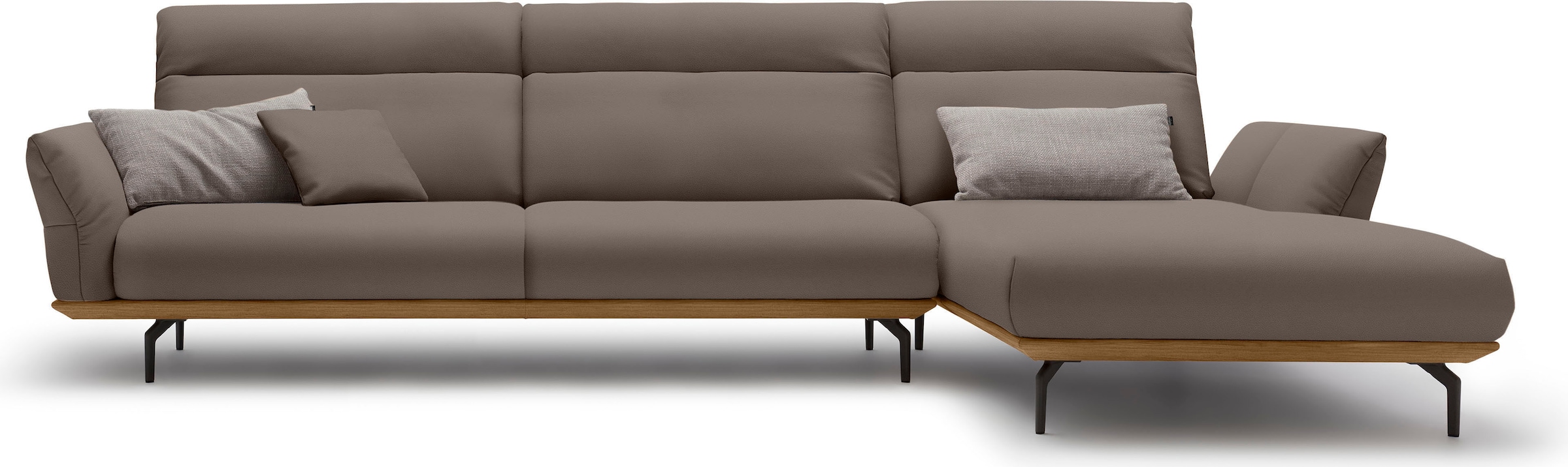 Creation BY ROLF BENZ Ecksofa "CR.460 Designsofa mit erstklassigem Sitzkomfort" Sockel in Nussbaum, Winkelfüße in Umbragrau, Breite 338 cm