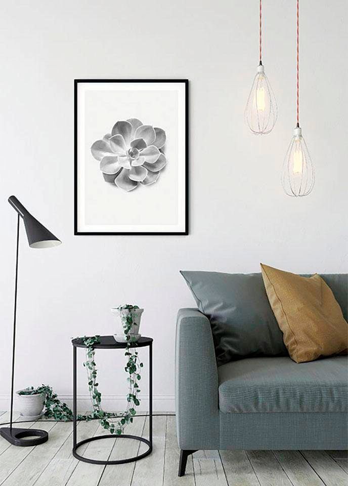 Komar Bild »Succulent Aeonium«, Pflanzen-Blätter, (1 St.), Wandbild zur Dekoration - ohne Rahmen