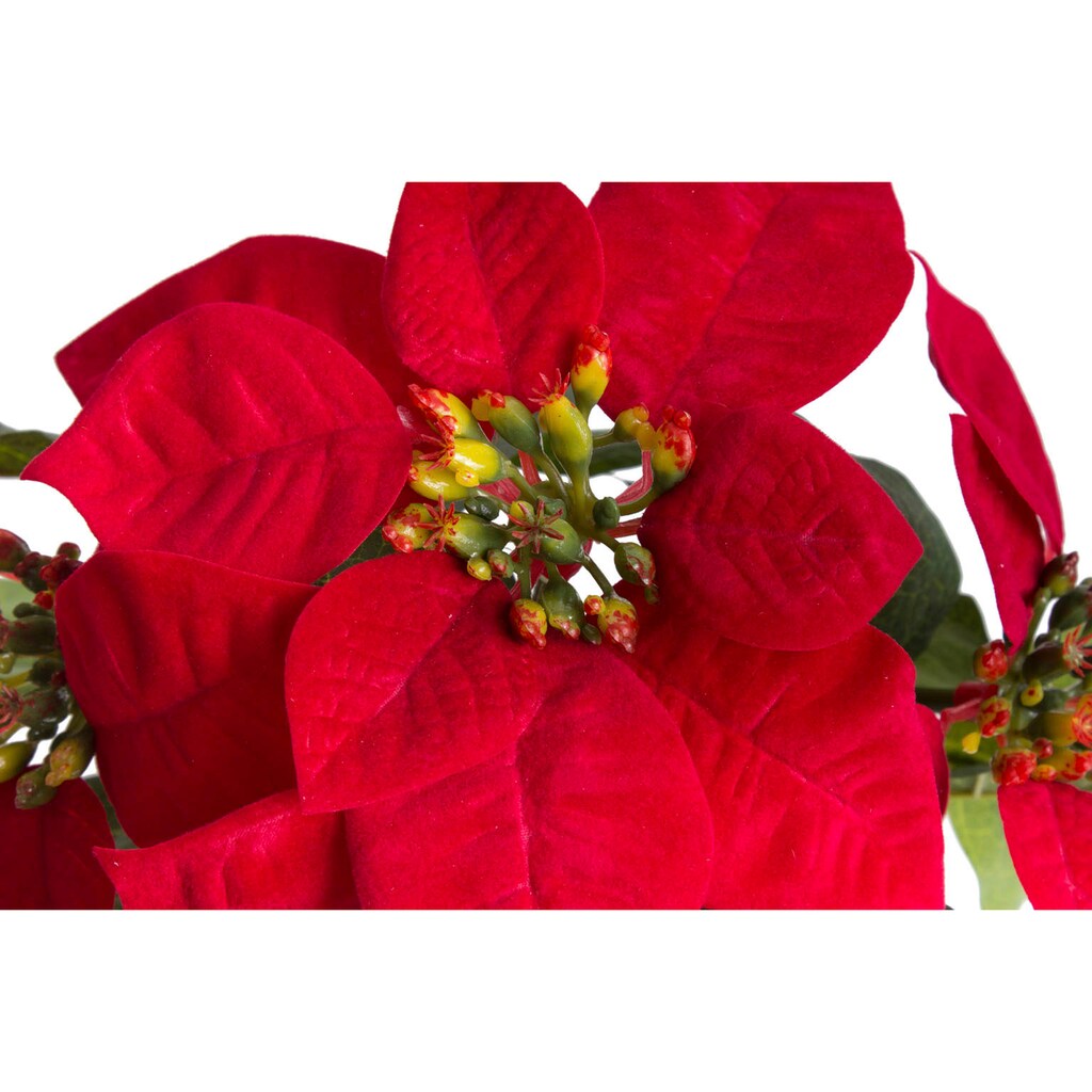 Botanic-Haus Kunstblume »Poinsettie mit 4 Blüten«