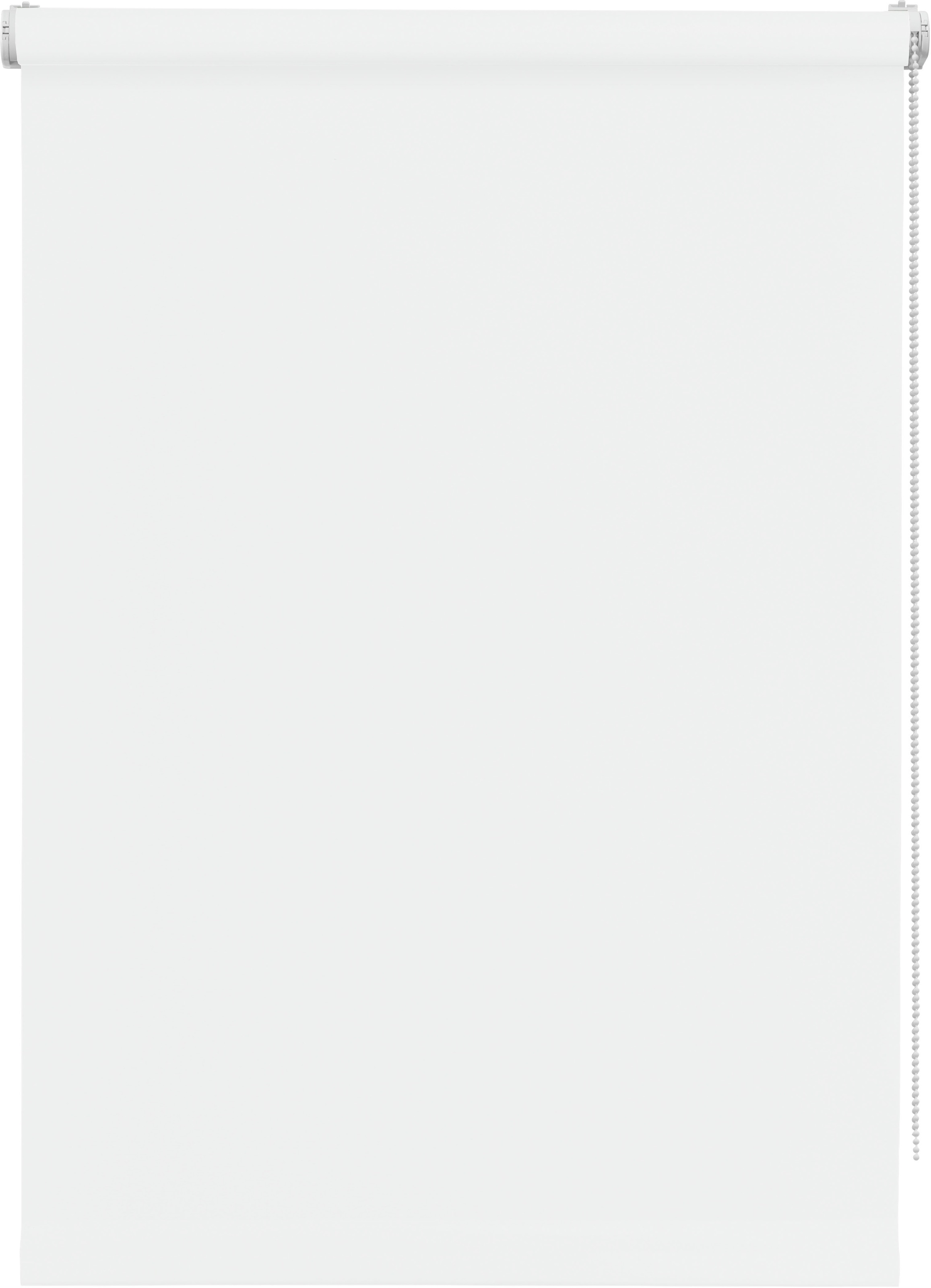 OTTO home Seitenzugrollo "Tone" blickdicht Sichtschutz  Verdunkelung mit Bo günstig online kaufen