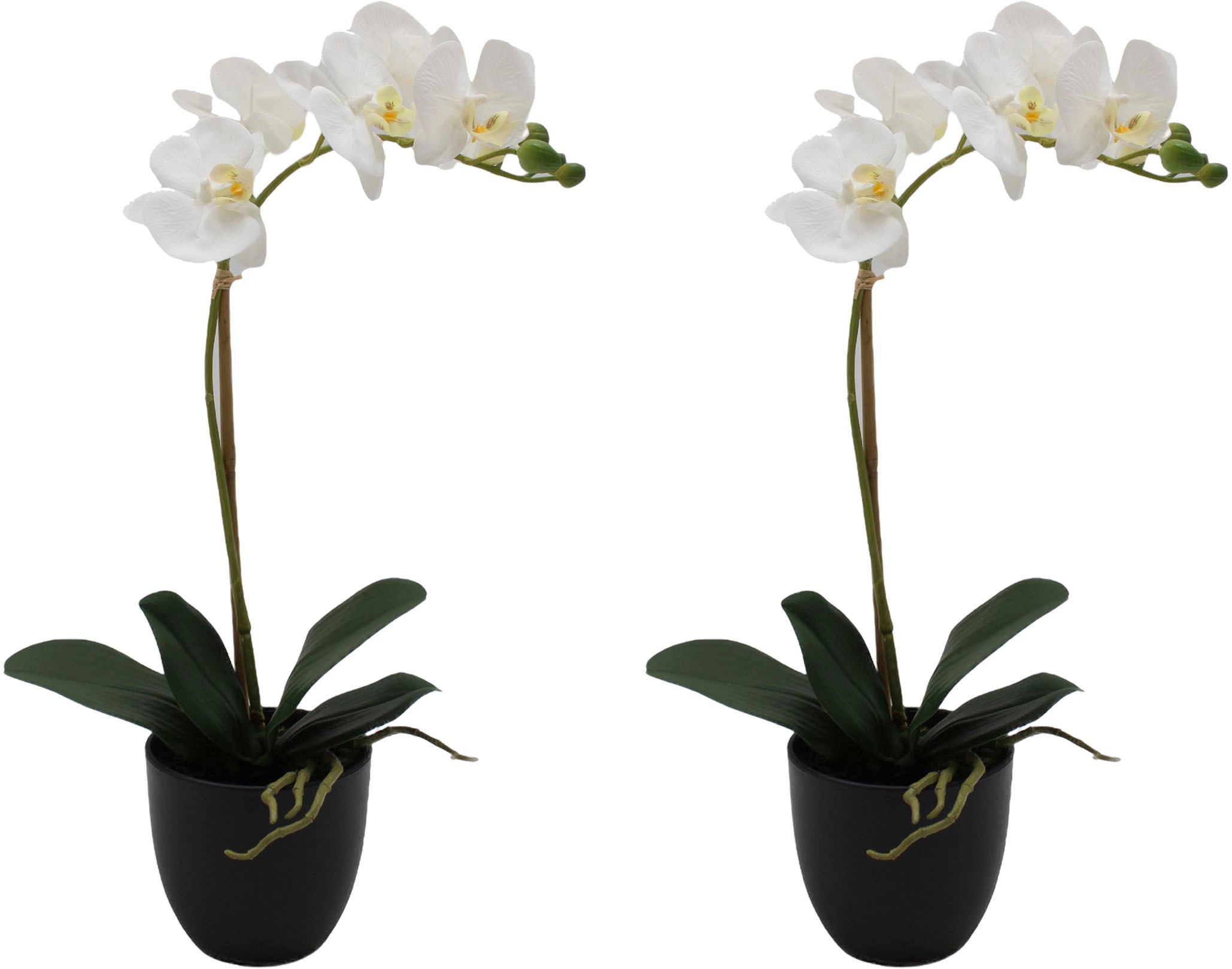 Creativ green Kunstorchidee "Orchidee Phalaenopsis", mit täuschend echten B günstig online kaufen