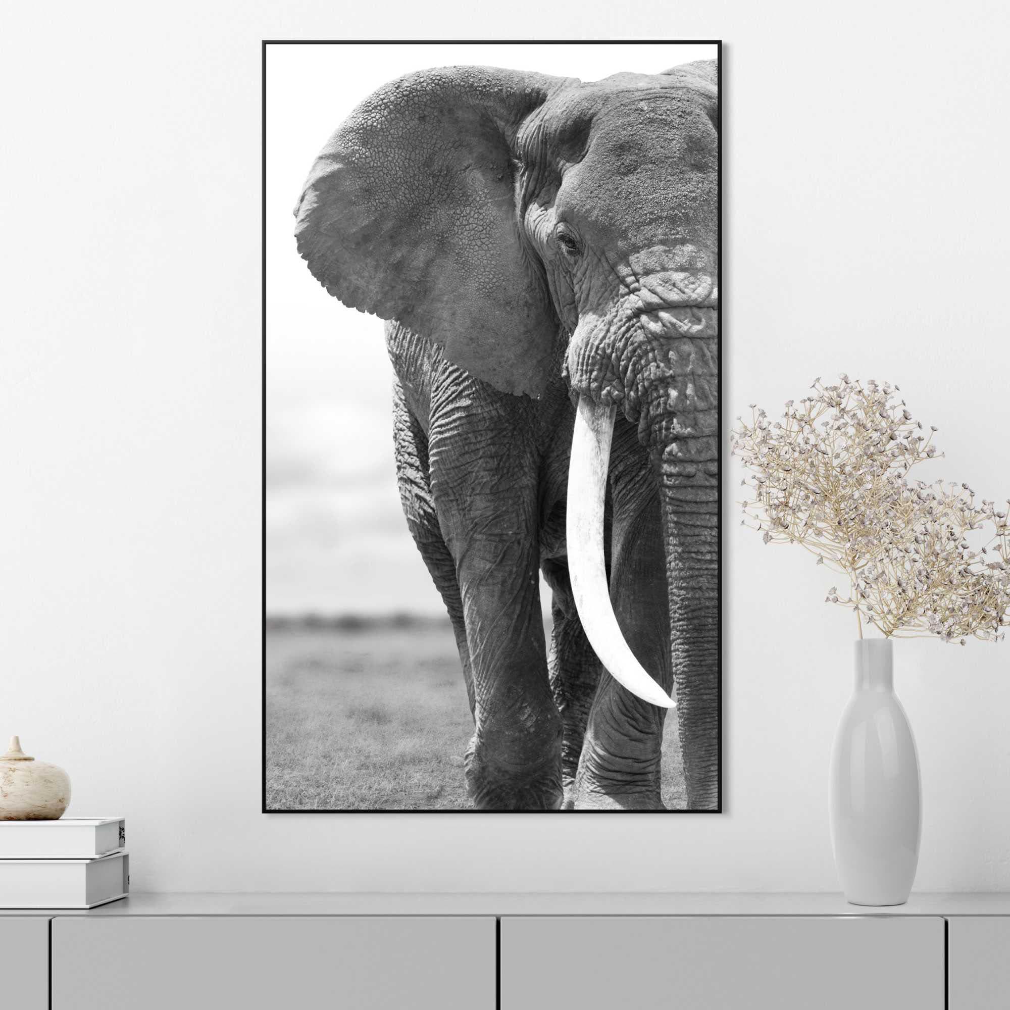 Elefanten, (1 BAUR Reinders! - Kräftig »Gerahmtes Wildtiere«, | Bild St.) Bild kaufen - Stoßzähne Elefant Tiefkopf -