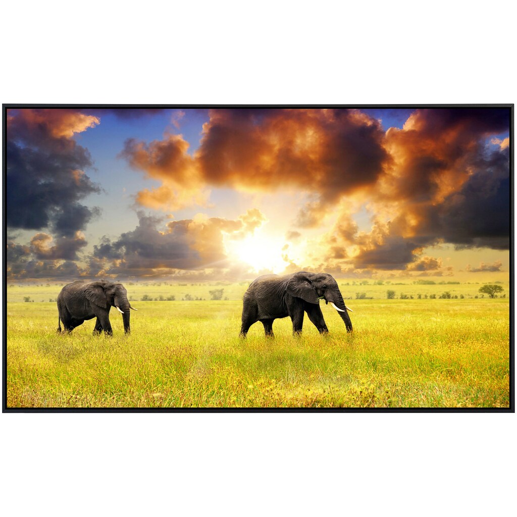Papermoon Infrarotheizung »Afrikanische Elefanten«
