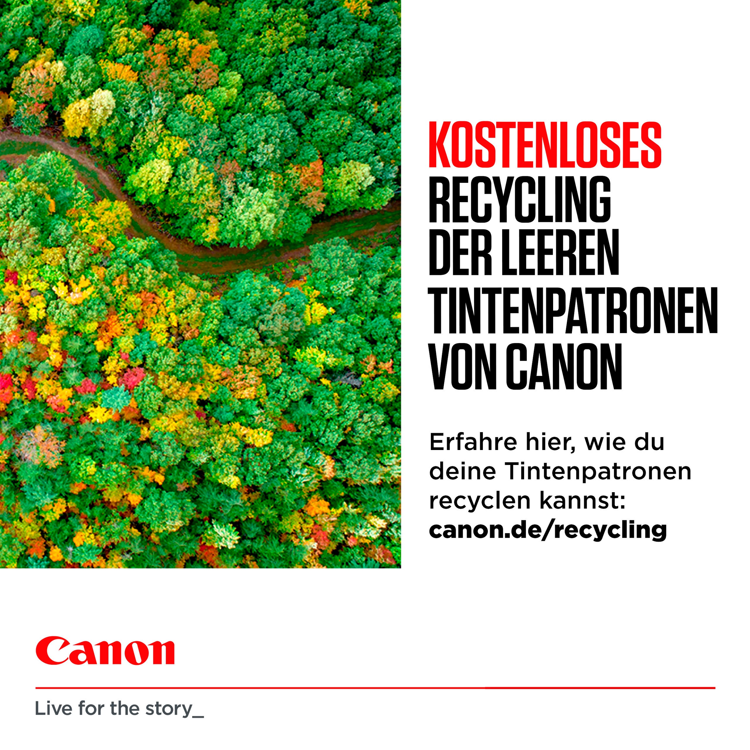 Canon Tintenpatrone »CLI-526 BK/C/M/Y + Fotopapier Value Pack«, (Packung)