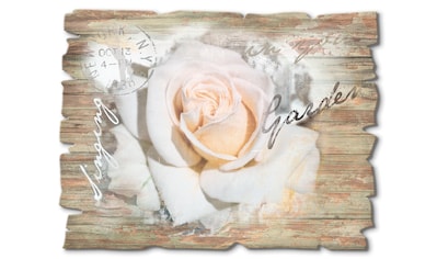 Holzbild »In Buchstaben - Rose«, Blumen, (1 St.)