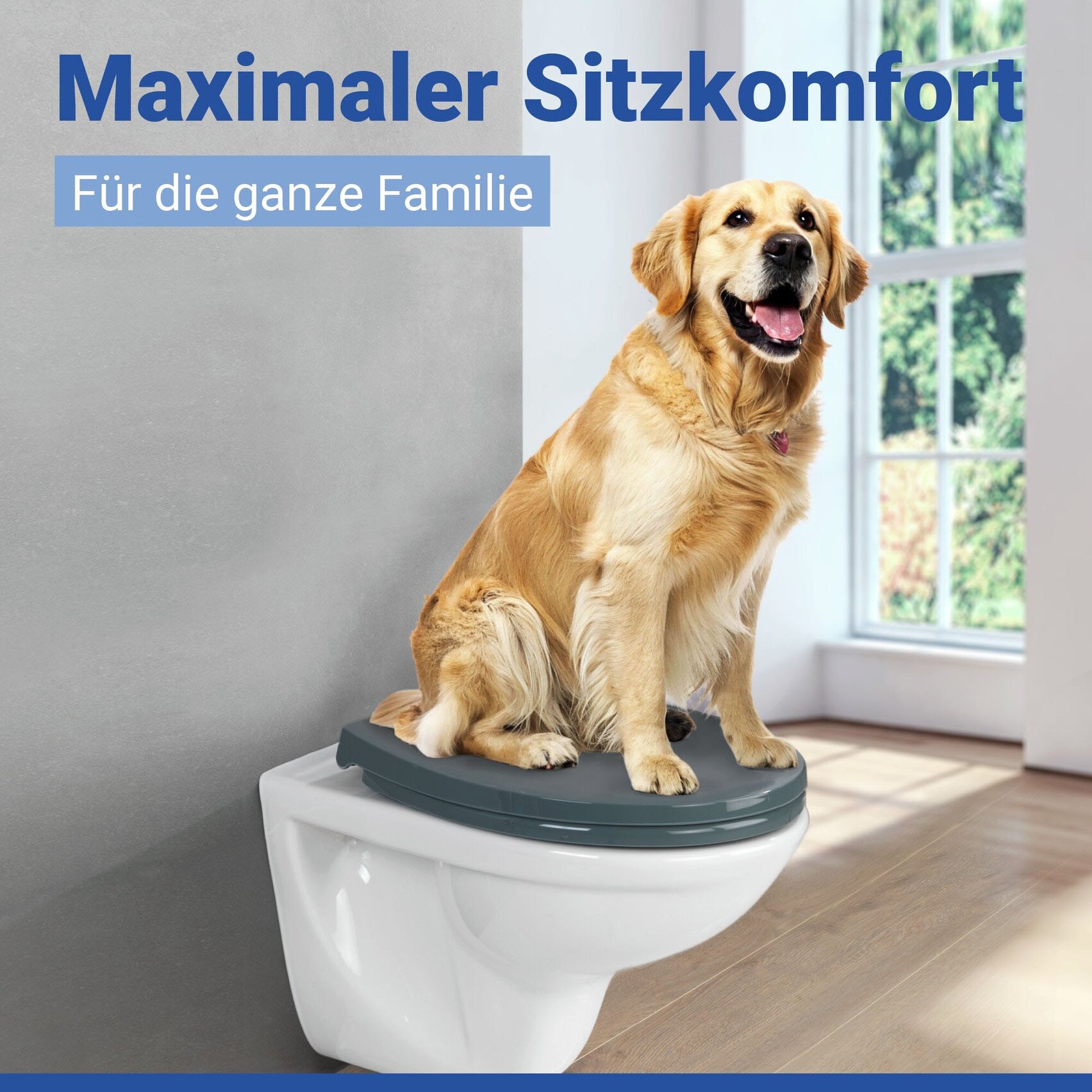 WENKO WC-Sitz »Ostuni« 1 Stk. tlg. Thermoplast, belastbar mit 300 kg, mit Absenkautomatik
