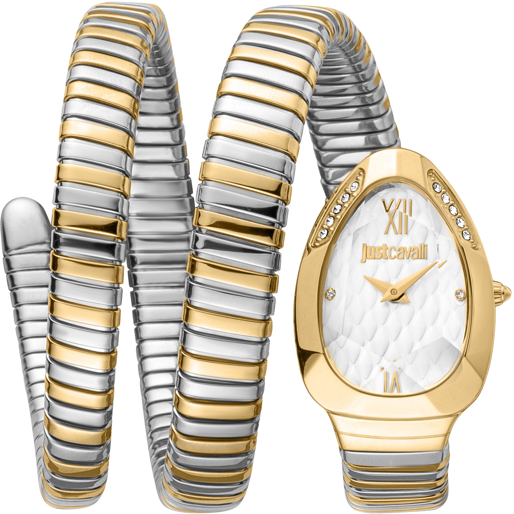 Just Cavalli Time Quarzuhr »JUST GLAM EVO 9 JC1L224M0065«