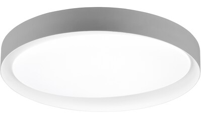 TRIO Leuchten LED Deckenleuchte »Zeta«, LED-Modul, Farbwechsler kaufen