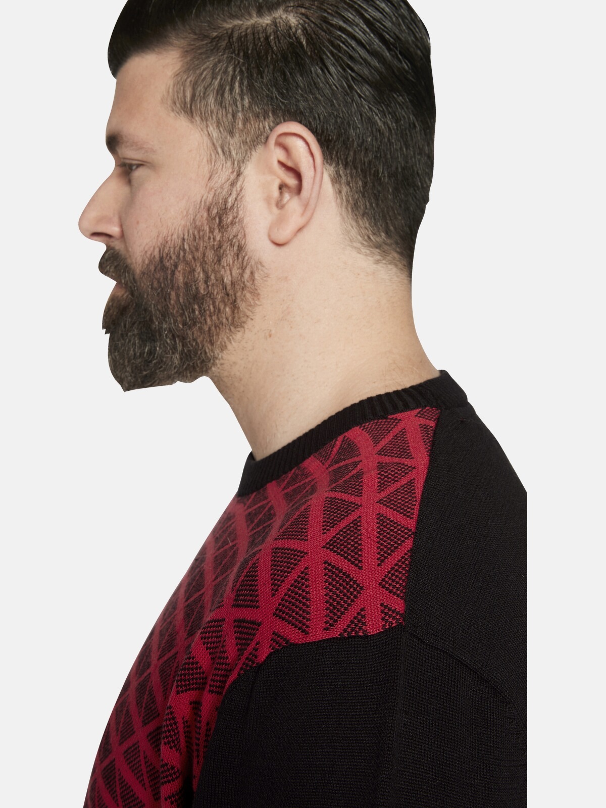 Charles Colby Rundhalspullover »Pullover EARL ALAN«