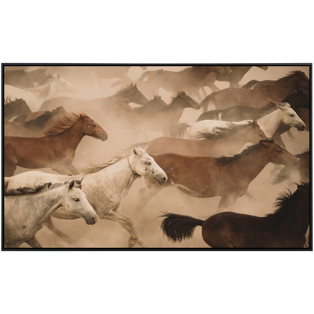 Papermoon Infrarotheizung »Pferde Herde«, sehr angenehme Strahlungswärme