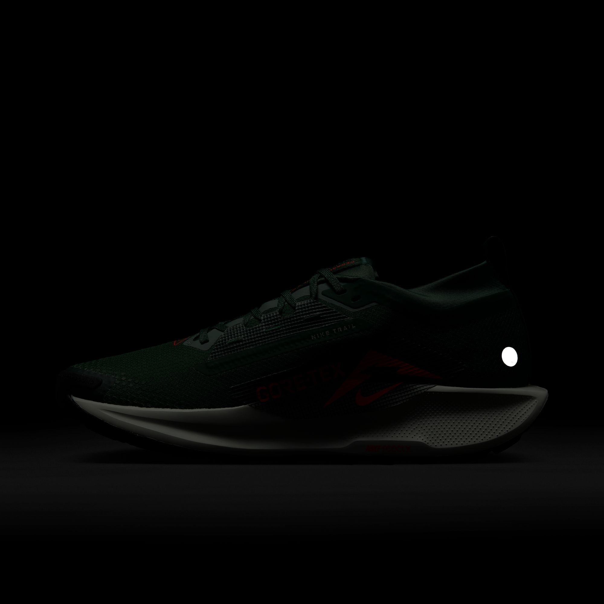 Nike Laufschuh »PEGASUS TRAIL 5 GTX«
