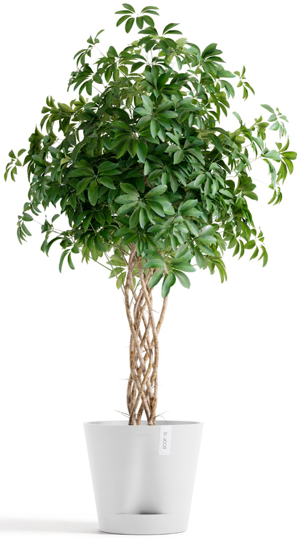 ECOPOTS Blumentopf »Venice 2 40 Weiß«, für den Innenbereich
