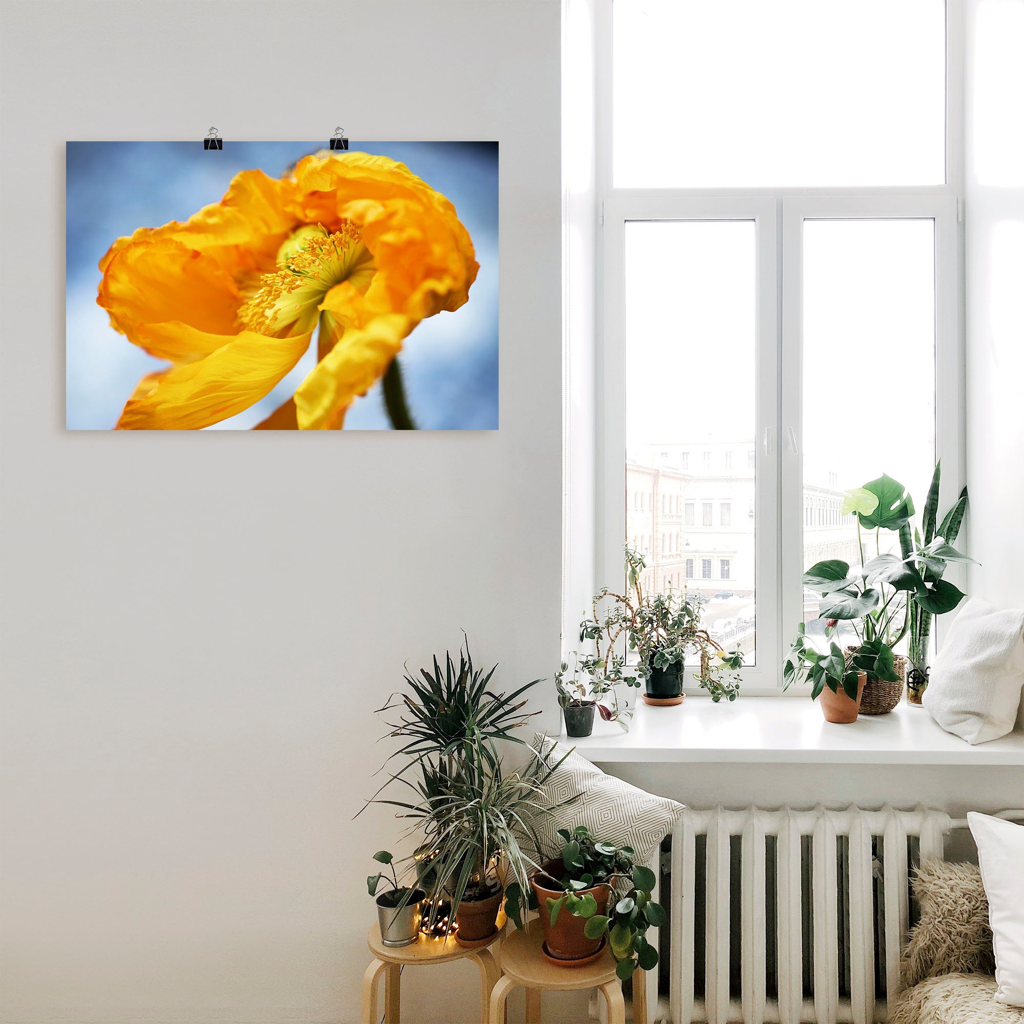 Artland Wandbild »Gelbe Mohnblüte«, Blumenbilder, (1 St.), als Alubild,  Leinwandbild, Wandaufkleber oder Poster in versch. Größen bestellen | BAUR