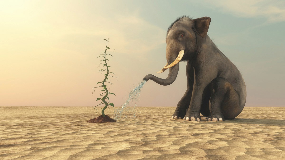 Papermoon Fototapete »Elefanten, die Bohnen gießen«