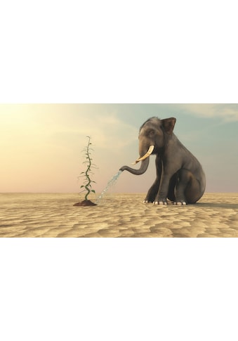 Fototapete »Elefanten, die Bohnen gießen«
