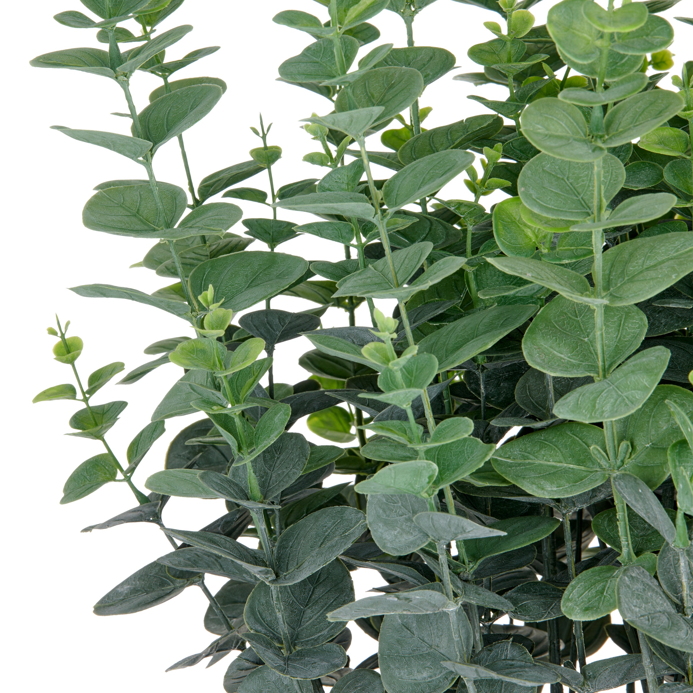 Creativ green Kunstpflanze "Eukalyptus gunnii", in UV-beständiger Ausführun günstig online kaufen